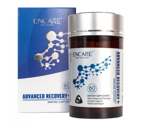 Encare  微分子再生胶囊升级版耳牛球蛋白 60粒