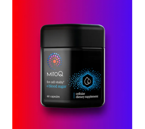 MitoQ  天然肉桂血糖平衡胶囊 60粒