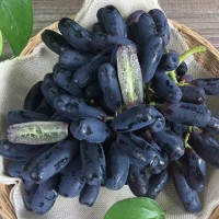 【包邮】澳洲蓝宝石手指黑提 3斤装1.5kg