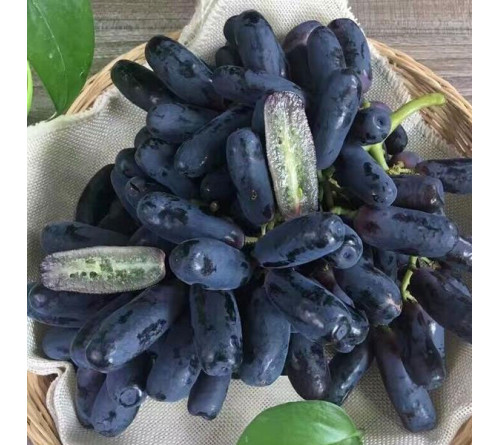 【包邮】澳洲蓝宝石手指黑提 4斤装2kg